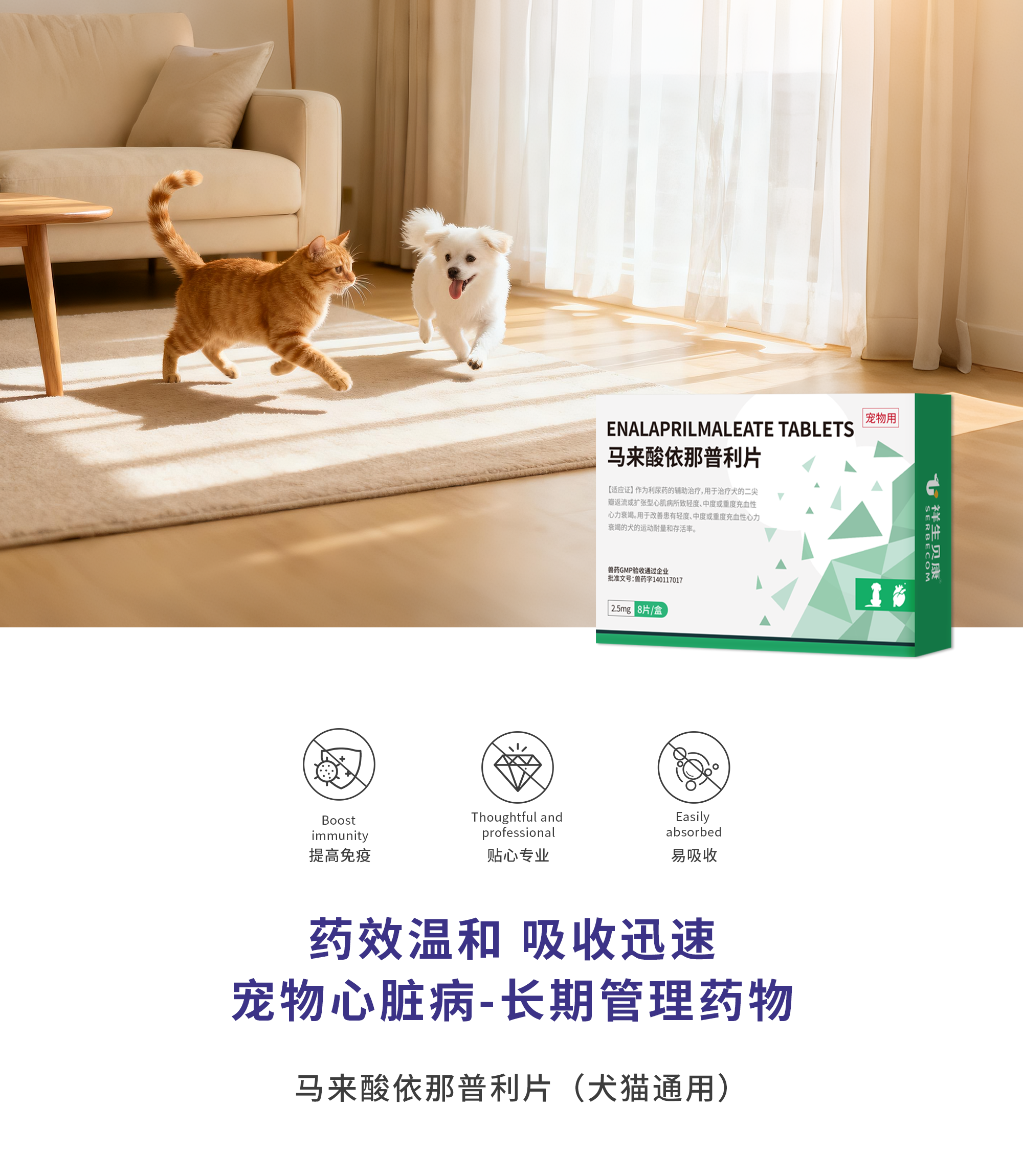 马来酸依那普利片