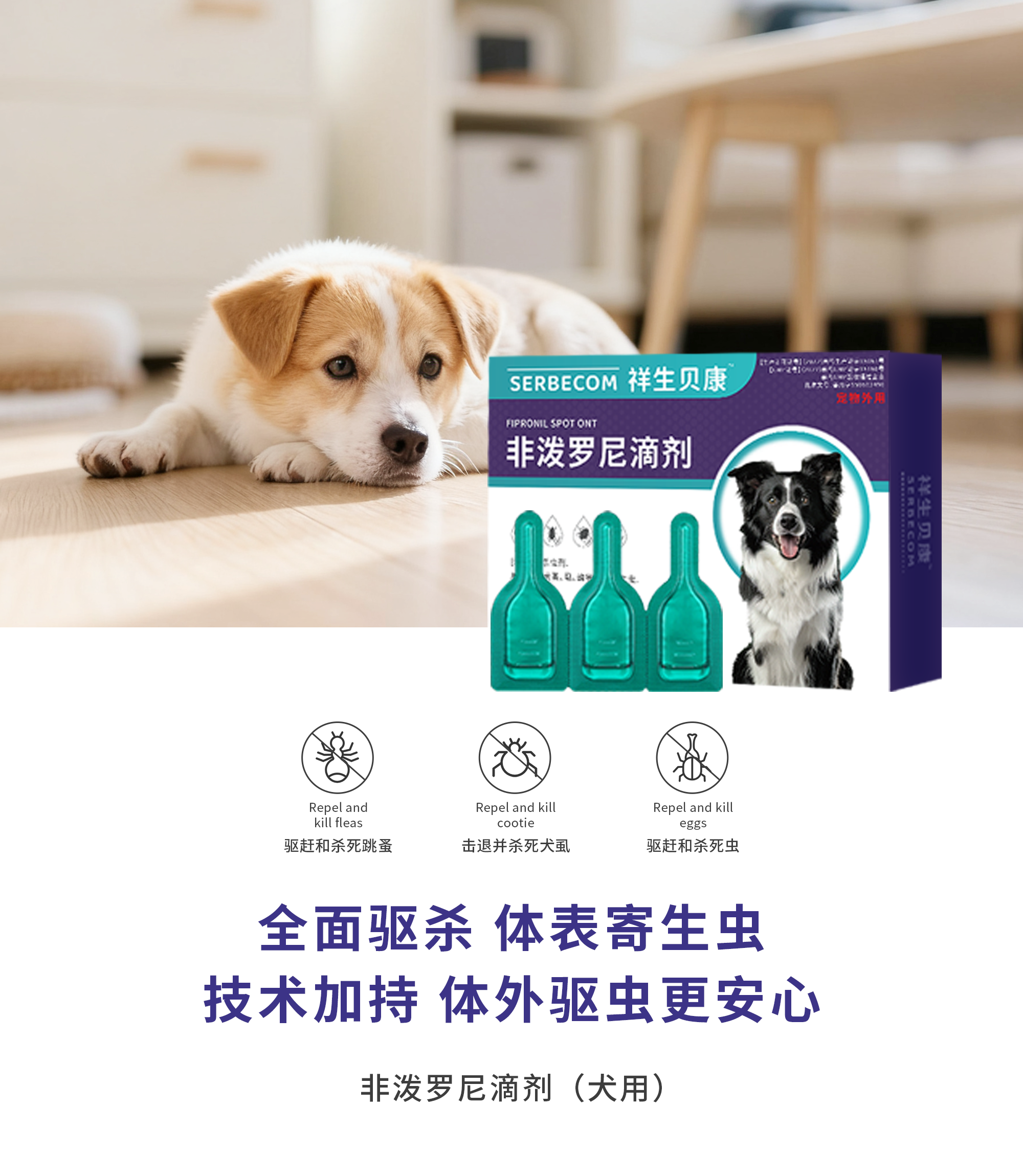 非泼罗尼滴剂(犬用)