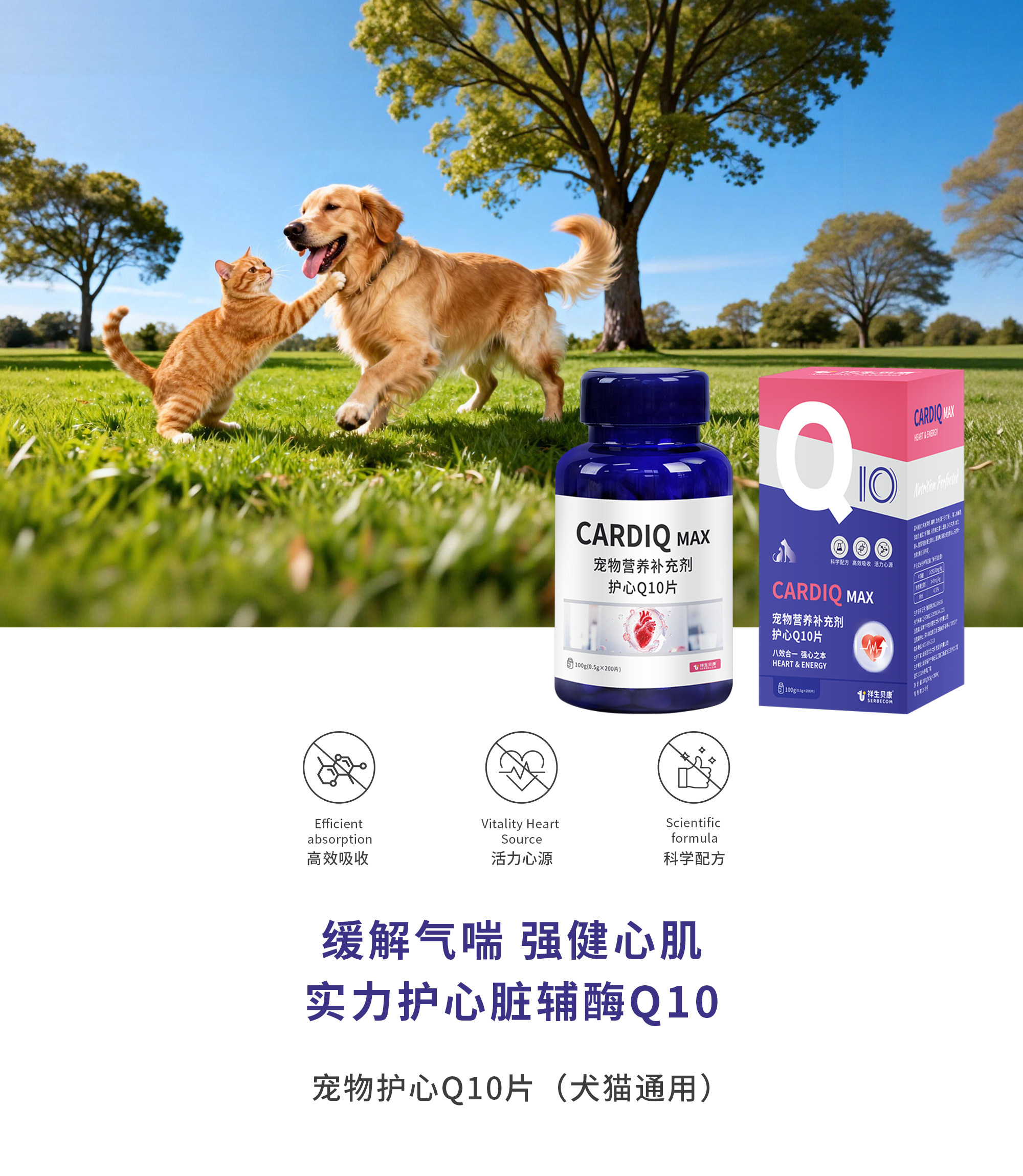 宠物护心Q10片(犬猫通用)